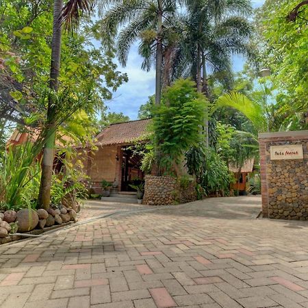 Bata Merah Homestay Banyuwangi  Luaran gambar