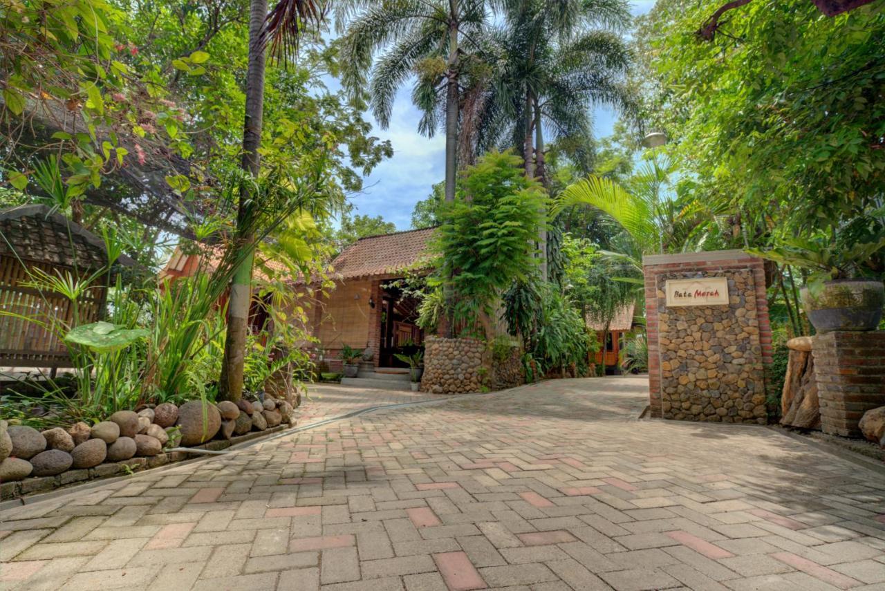 Bata Merah Homestay Banyuwangi  Luaran gambar