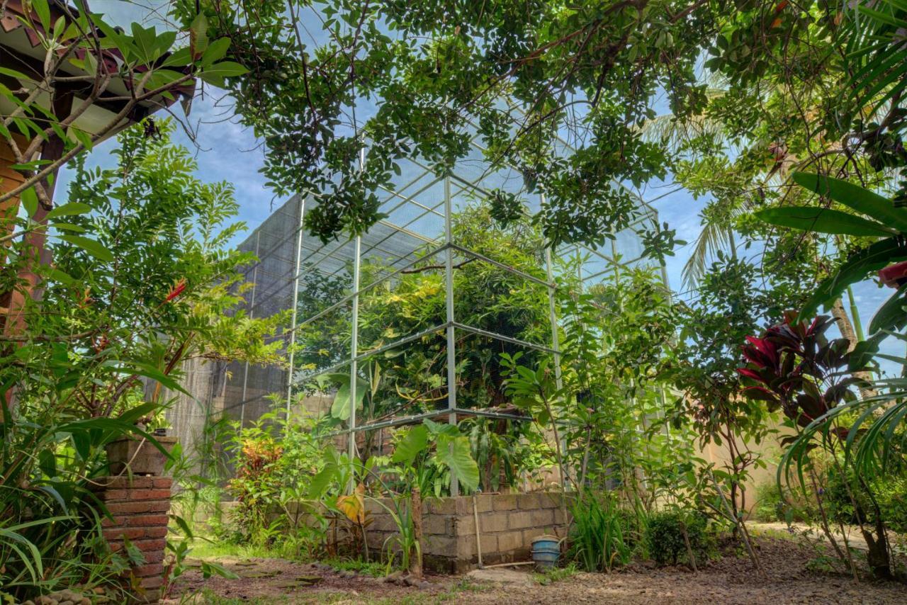 Bata Merah Homestay Banyuwangi  Luaran gambar