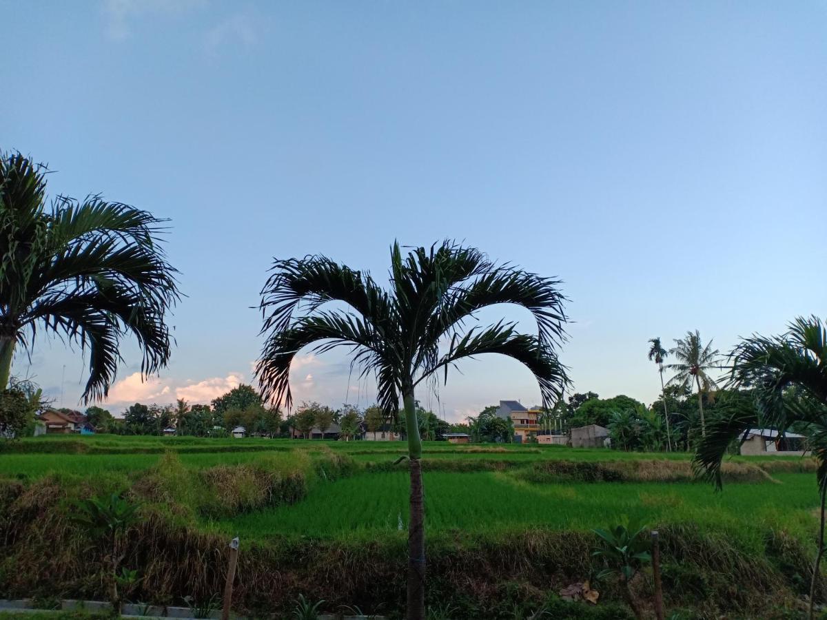 Bata Merah Homestay Banyuwangi  Luaran gambar