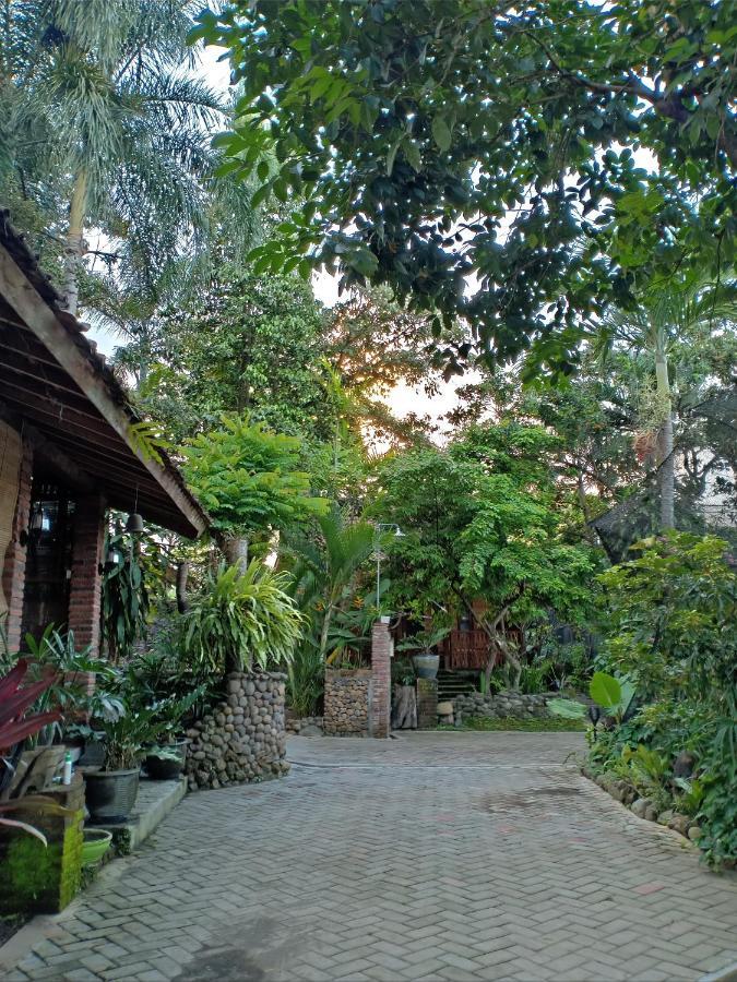 Bata Merah Homestay Banyuwangi  Luaran gambar