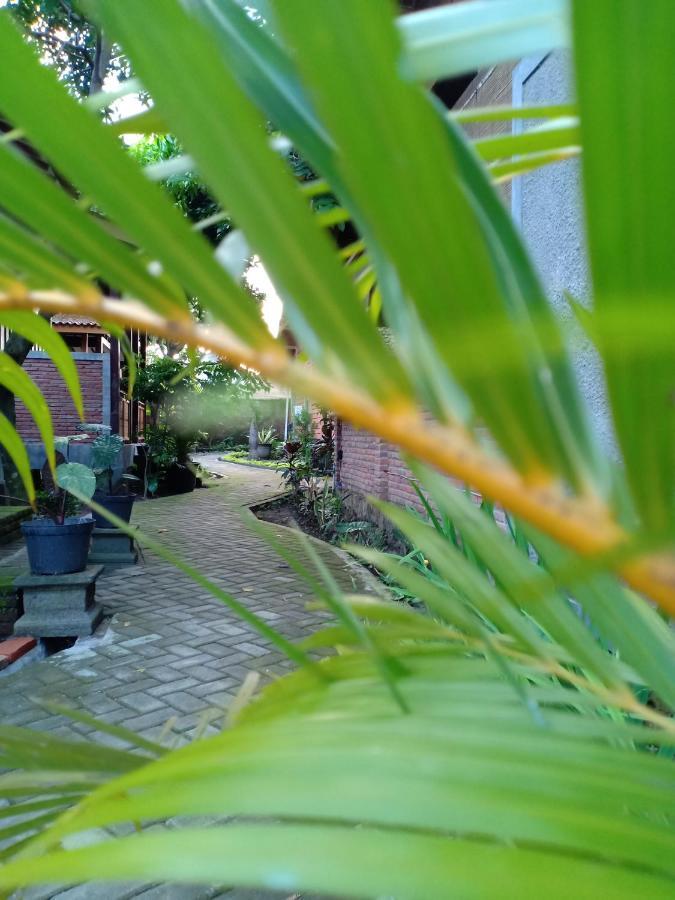 Bata Merah Homestay Banyuwangi  Luaran gambar