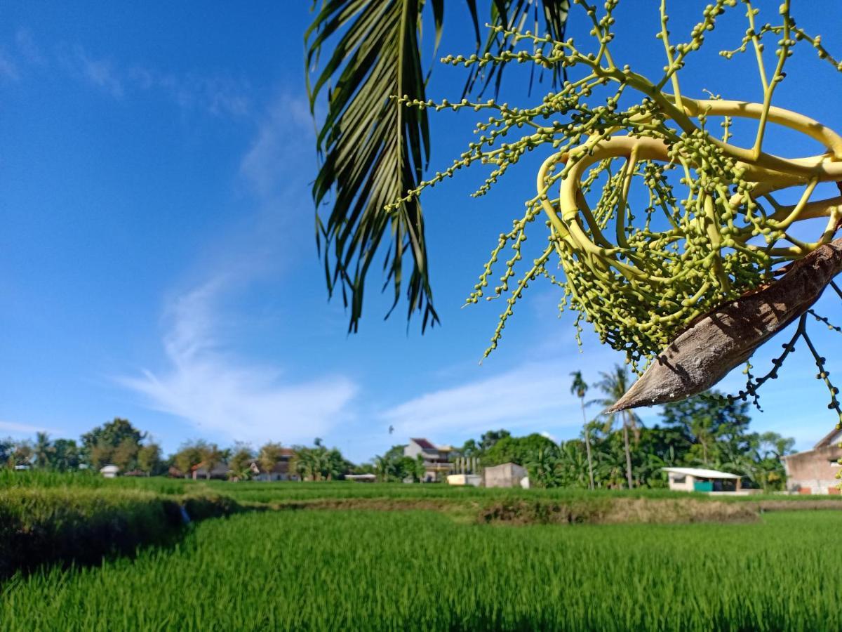 Bata Merah Homestay Banyuwangi  Luaran gambar