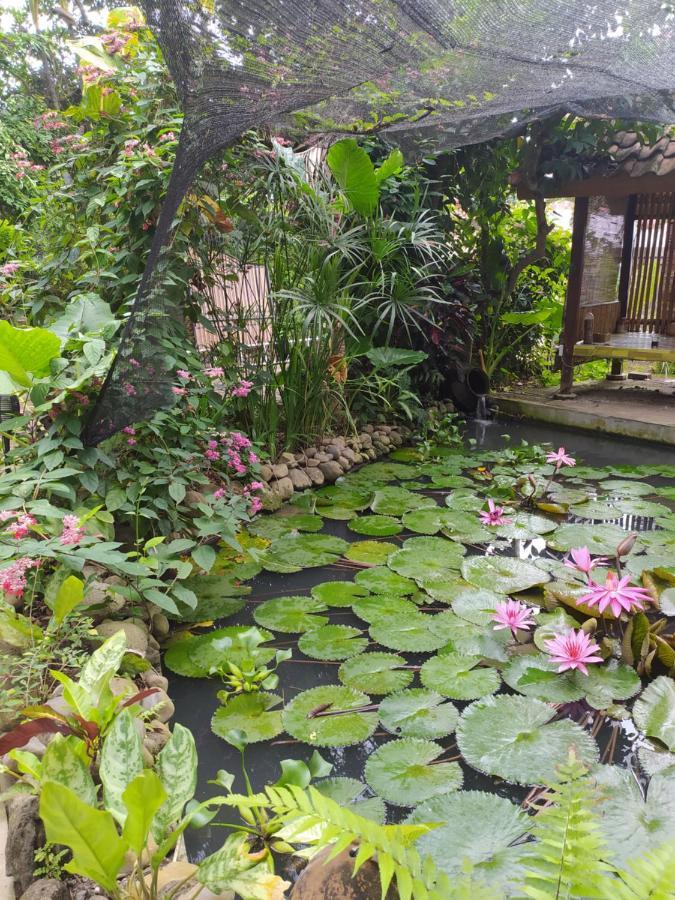 Bata Merah Homestay Banyuwangi  Luaran gambar