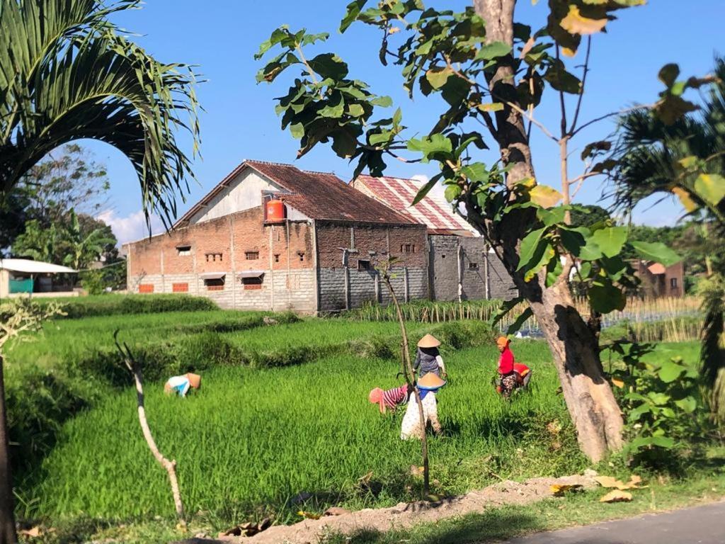 Bata Merah Homestay Banyuwangi  Luaran gambar
